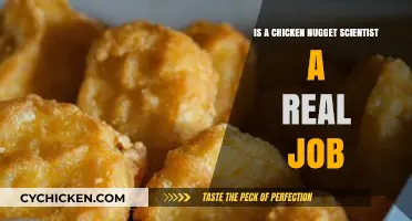 Chicken Nugget Scientist: Unveiling the Surprising Reality of Food Science Careers