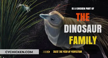 Are Chickens Modern Dinosaurs? Unraveling the Evolutionary Connection