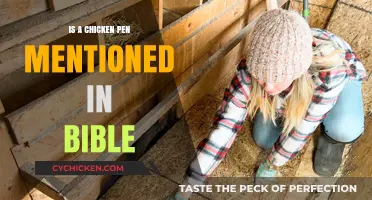 Biblical References to Chicken Pens: Fact or Fiction?