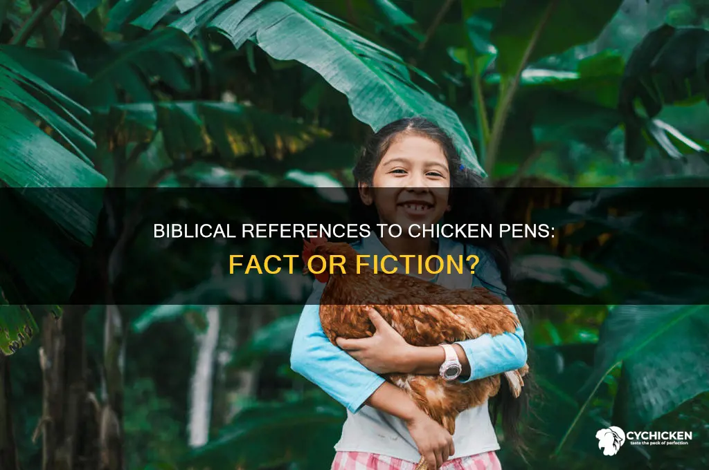 is a chicken pen mentioned in bible