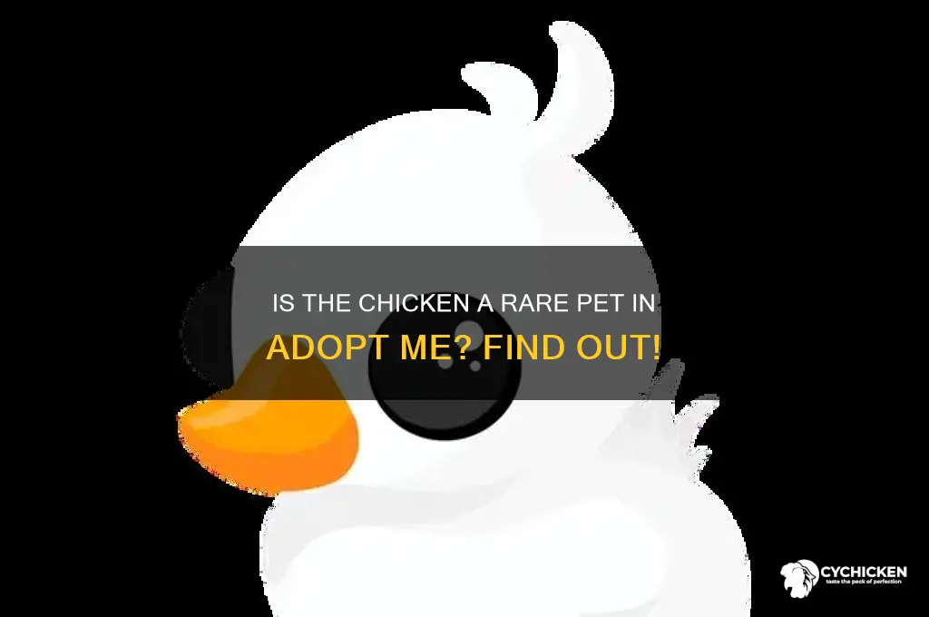 is a chicken rare in adopt me