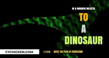 Are Chickens Modern Dinosaurs? Unraveling the Ancient Genetic Connection