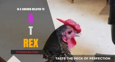 Chickens and T-Rex: Unraveling the Surprising Dinosaur Connection