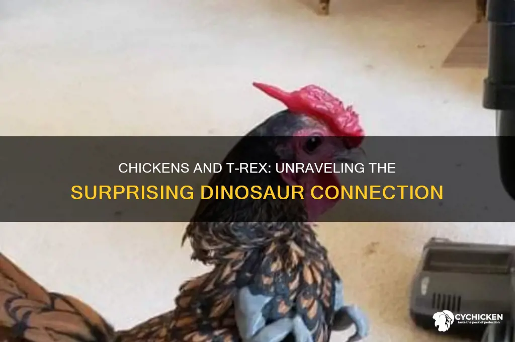 is a chicken related to a t rex