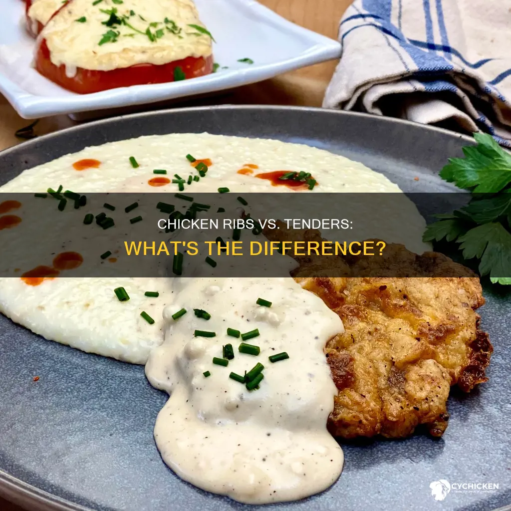 is a chicken rib the same as a tender