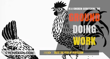 Is a Chicken Scratching the Ground Considered Work?