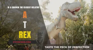 Chicken or T-Rex: Who's the Closest Relative?