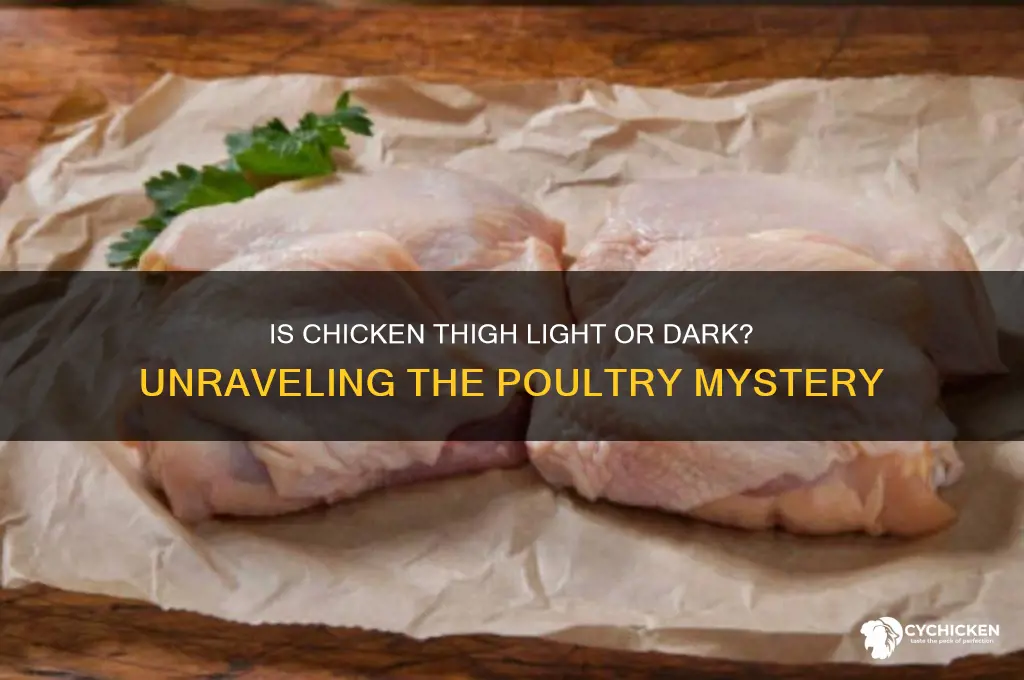 is a chicken thigh light or dark