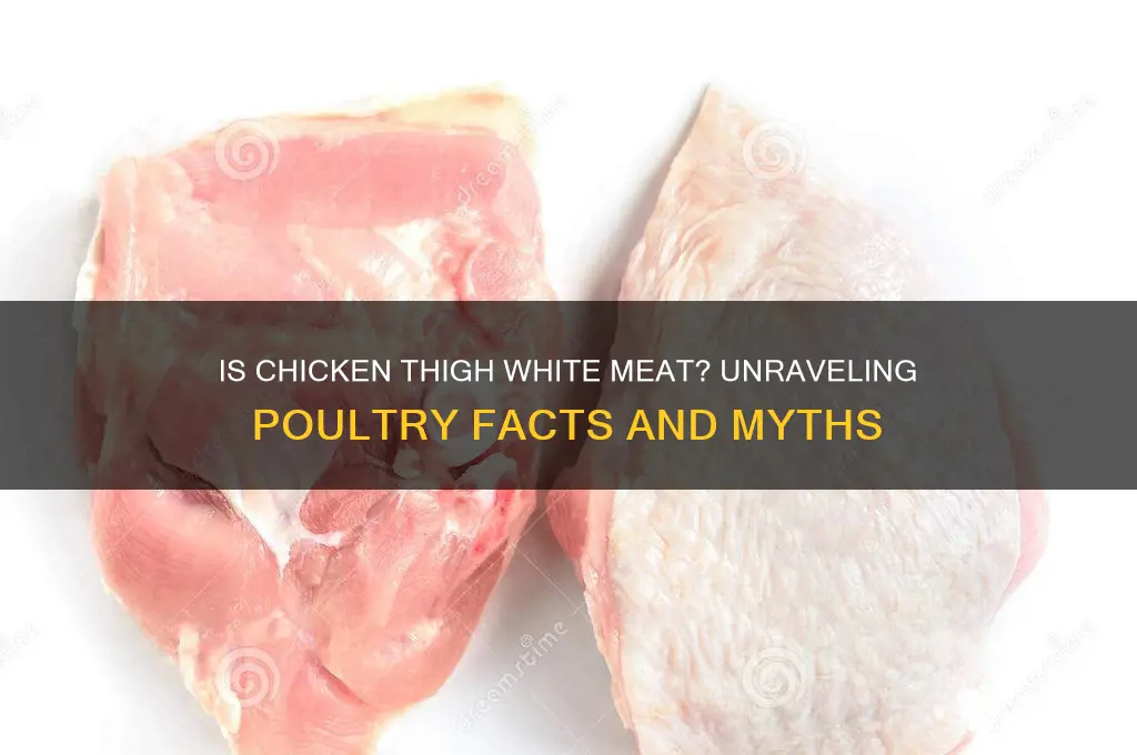 is a chicken thigh white meat