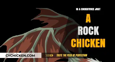 Cockatrice or Rock Chicken? Unraveling the Mythical Bird's True Nature
