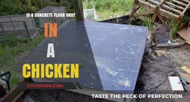 Concrete Floors in Chicken Coops: Benefits, Drawbacks, and Best Practices