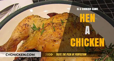 Is a Cornish Game Hen a Chicken? Unraveling the Poultry Puzzle