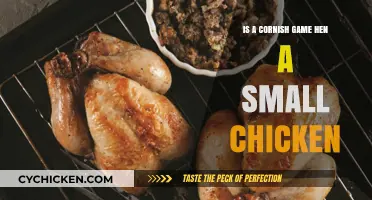 Is a Cornish Game Hen Just a Small Chicken? The Truth