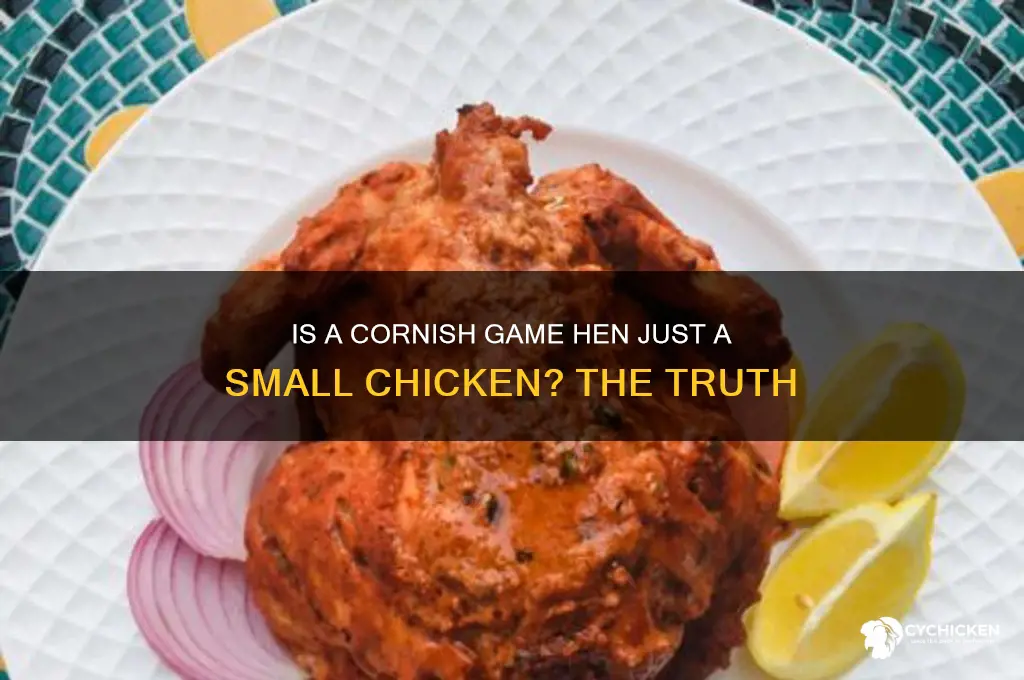 is a cornish game hen a small chicken