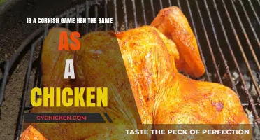 Game Hens vs Chickens: What's the Difference?