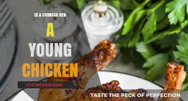 Is a Cornish Hen a Young Chicken? Unraveling the Poultry Puzzle