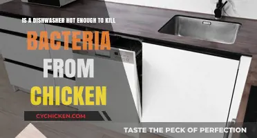 Dishwasher Heat: Can It Kill Chicken Bacteria?