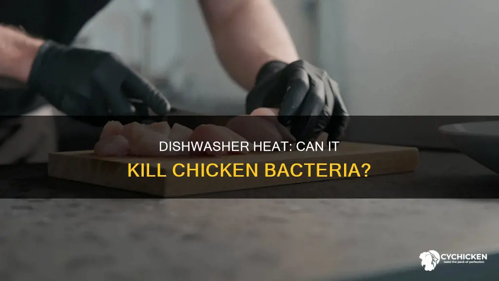 is a dishwasher hot enough to kill bacteria from chicken