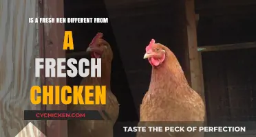 What's the Difference Between a Hen and Chicken?