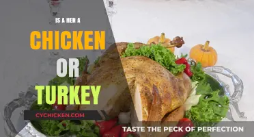 Hen vs. Chicken vs. Turkey: Unraveling the Poultry Puzzle