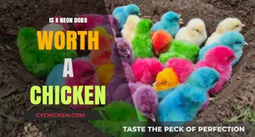 Is a Neon Dodo Worth a Chicken? Evaluating Pet Sim X Trades