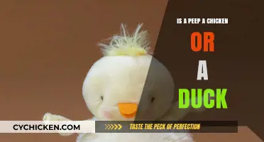 Peep's Identity Crisis: Unraveling the Chicken vs. Duck Debate
