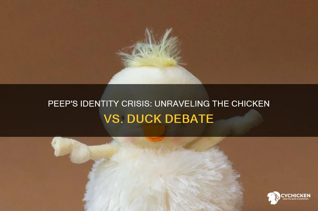 is a peep a chicken or a duck