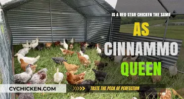 Red Star Chicken vs Cinnamon Queen: What's the Difference?