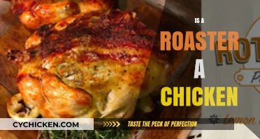 Is a Roaster a Chicken? Unraveling Poultry Terminology and Uses