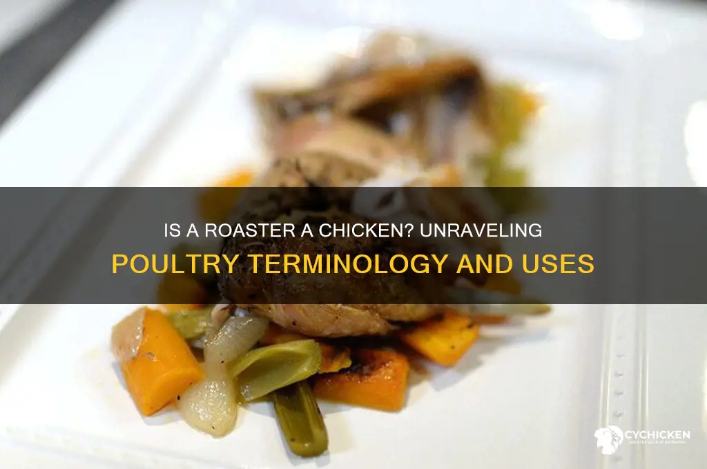 is a roaster a chicken
