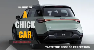 Smart Cars: Breaking Gender Stereotypes or Chick Magnet?
