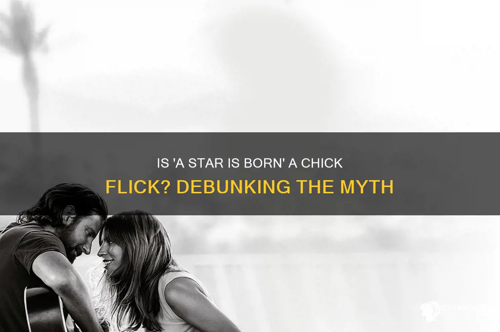 is a star is born a chick flick