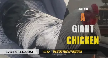 Is the T-Rex Just a Giant Chicken? Unraveling Dinosaur Myths
