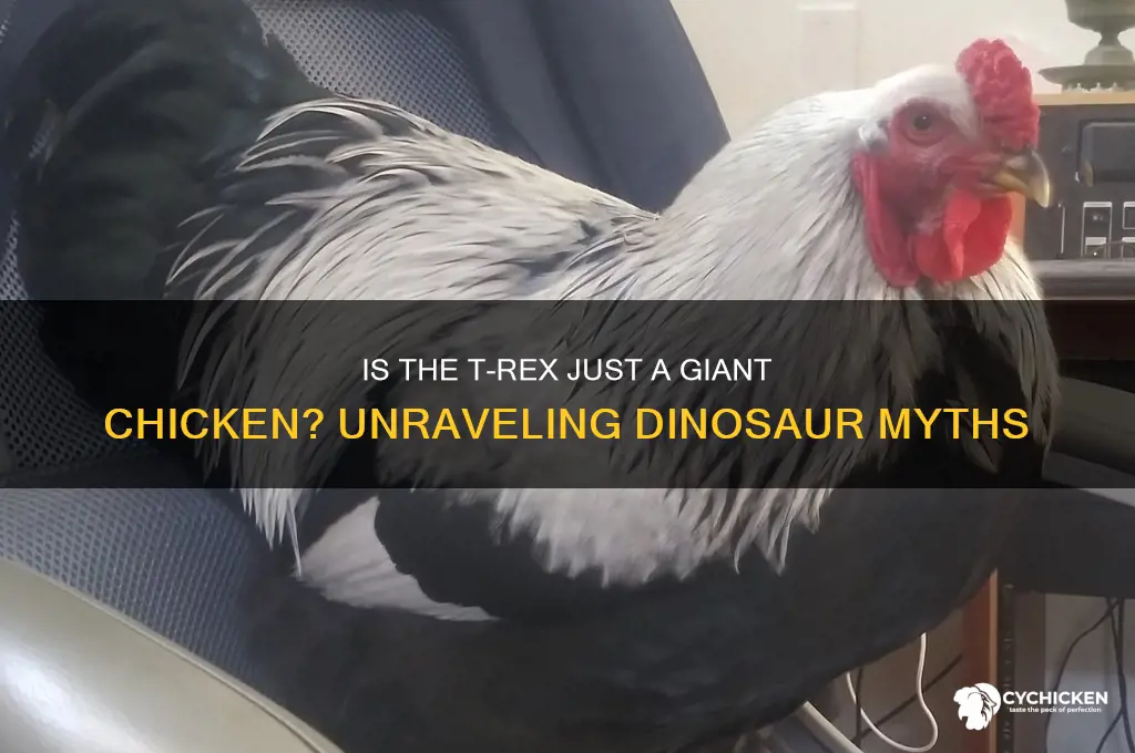 is a t rex a giant chicken