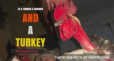 Turken: Unveiling the Hybrid Truth Behind Chicken and Turkey Crossbreeding