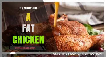 Turkey vs. Chicken: Unraveling the Myth of the Fat Poultry