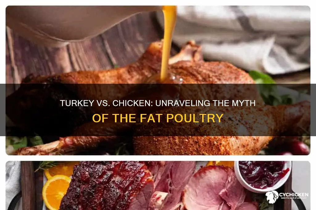 is a turkey just a fat chicken