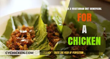 Can Chickens Thrive on a Vegetarian Diet? Exploring the Benefits