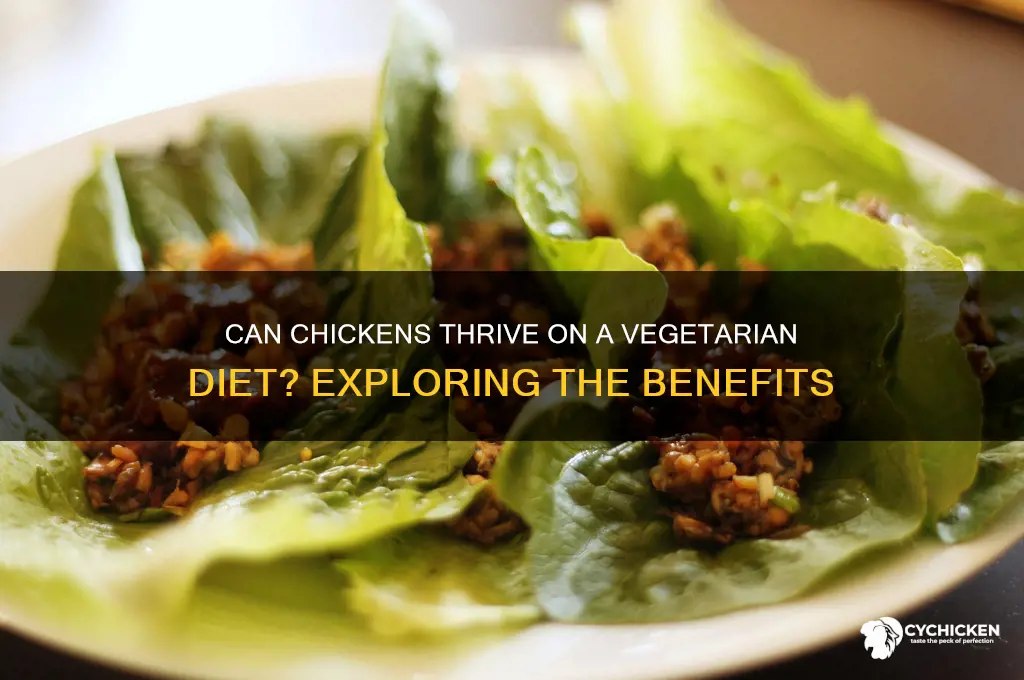 is a vegetarian diet beneficial for a chicken