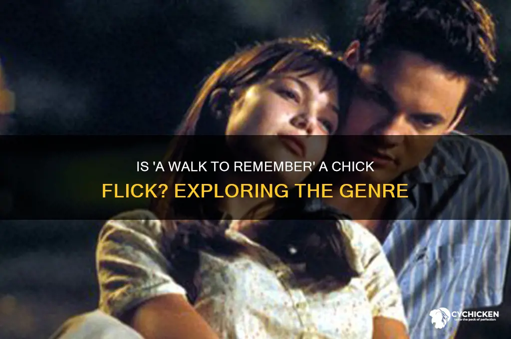 is a walk to remember a chick flick