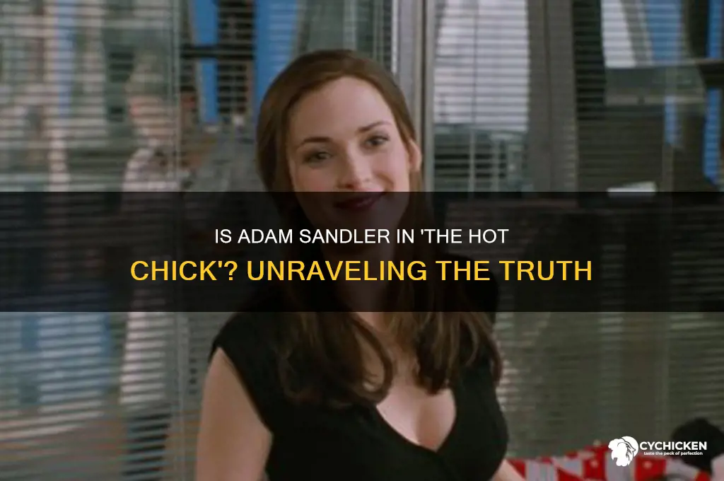 is adam sandler in the hot chick