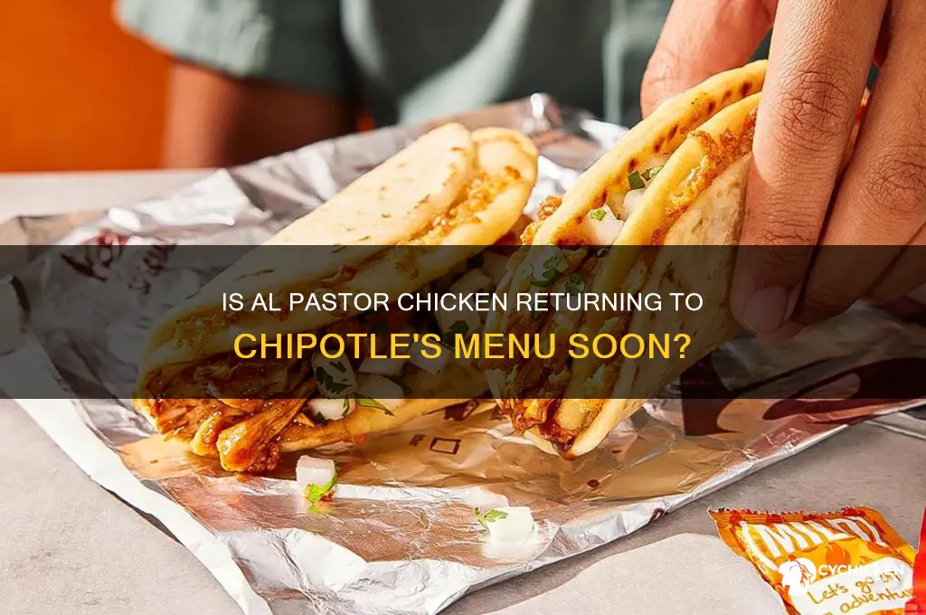 is al pastor chicken coming back to chipotle