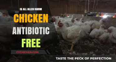 Is All Allen Harim Chicken Antibiotic-Free? Uncovering the Truth