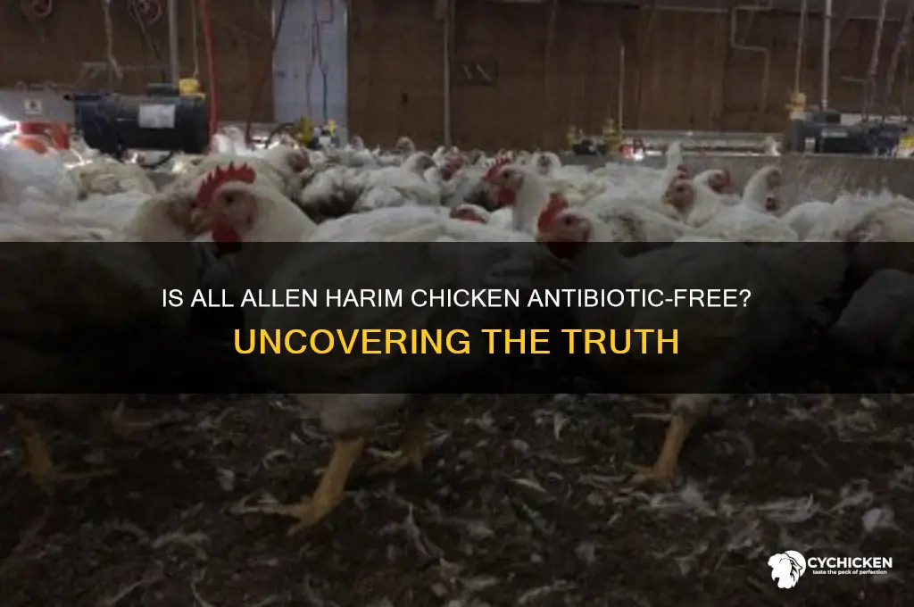 is all allen harim chicken antibiotic free