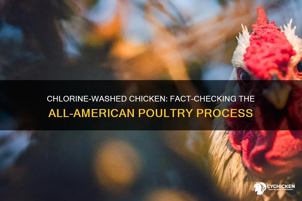 is all american chicken washed in chlorine