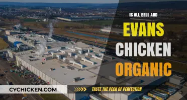 Is Bell & Evans Chicken Truly Organic? Uncovering the Facts