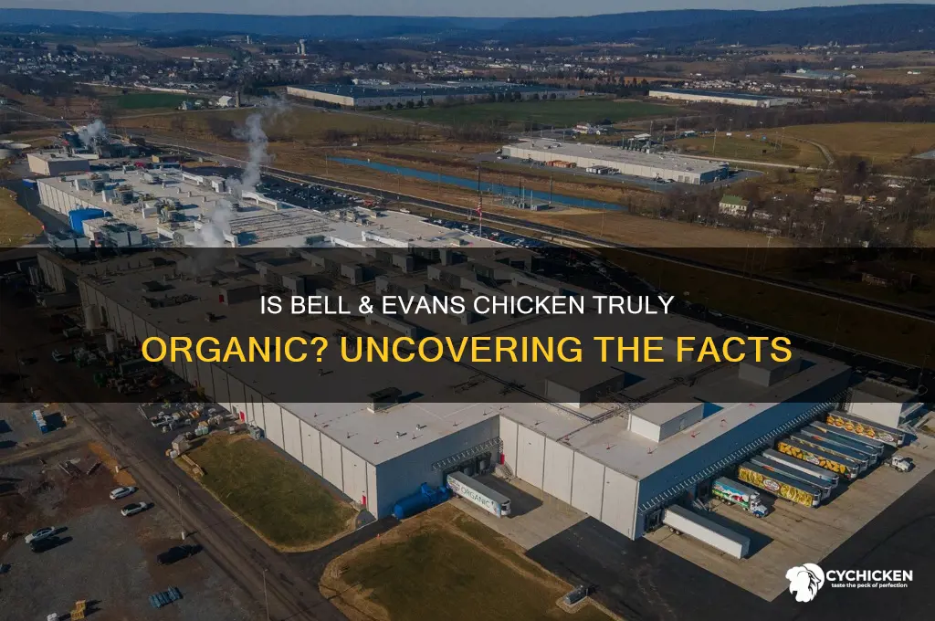 is all bell and evans chicken organic