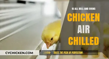Is All Bell & Evans Chicken Air-Chilled? The Truth Revealed