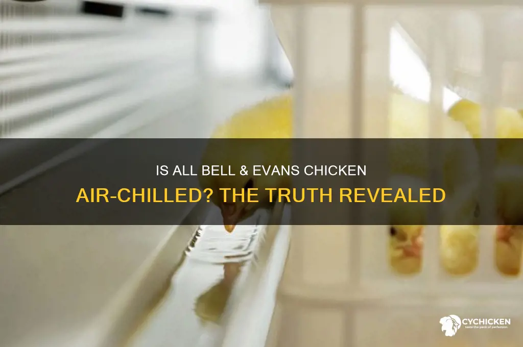 is all bell and evens chicken air chilled