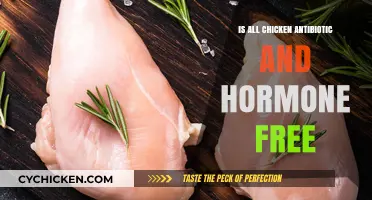 Are All Chickens Antibiotic and Hormone-Free? Uncovering the Truth